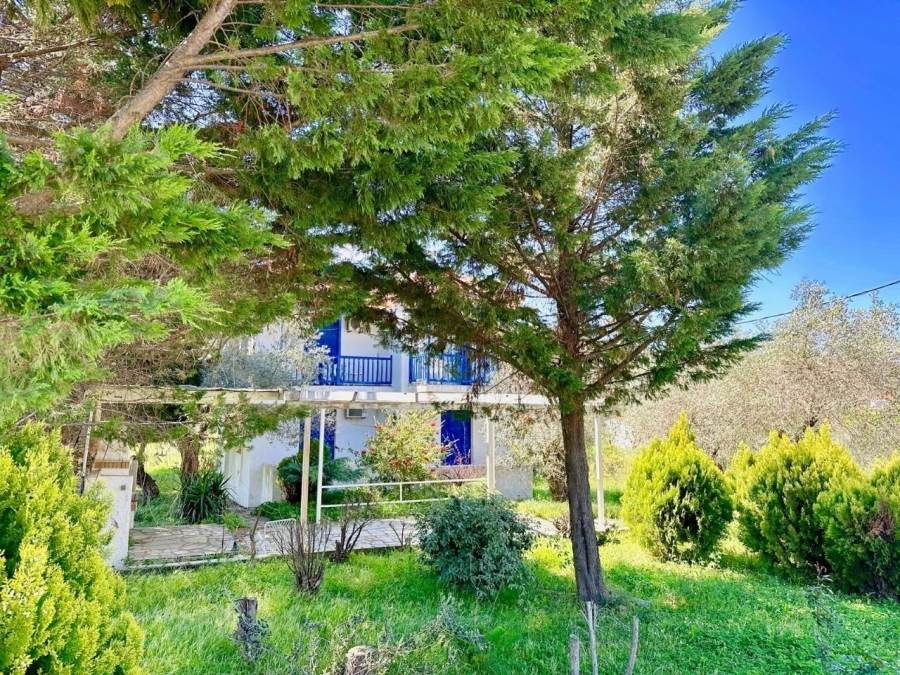 (For Sale) Commercial Hotel || Magnisia/Sporades-Skopelos - 185 Sq.m, 250.000€ 