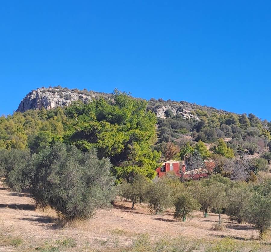 (Προς Πώληση) Κατοικία Βίλα || Ανατολική Αττική/Σπάτα - 360 τ.μ, 4 Υ/Δ, 500.000€ 