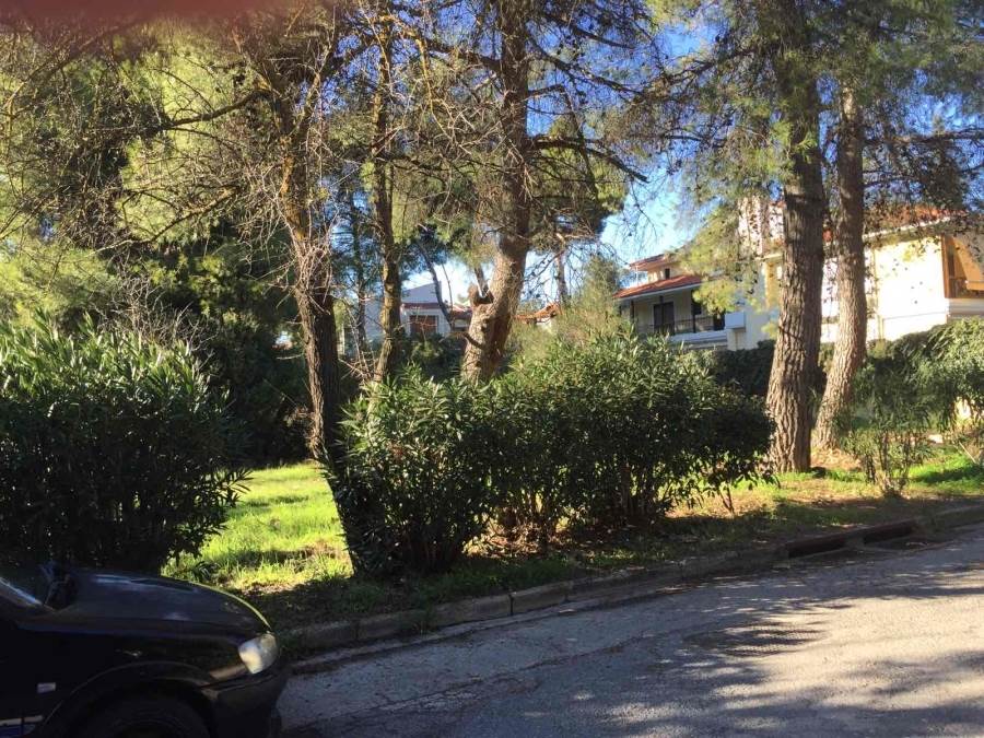 (For Sale) Land Plot || Athens North/Ekali - 1.092 Sq.m, 750.000€ 