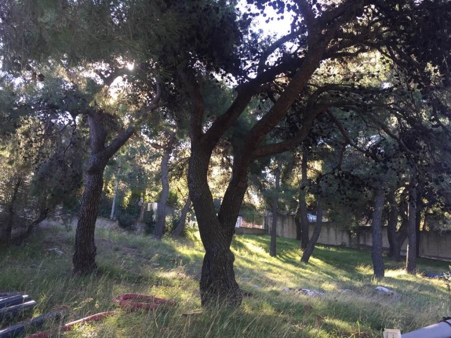 (For Sale) Land Plot || Athens North/Ekali - 1.600 Sq.m, 1.700.000€ 